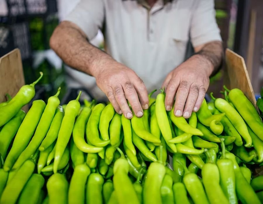 A trader sorting fresh green produce by hand at a market