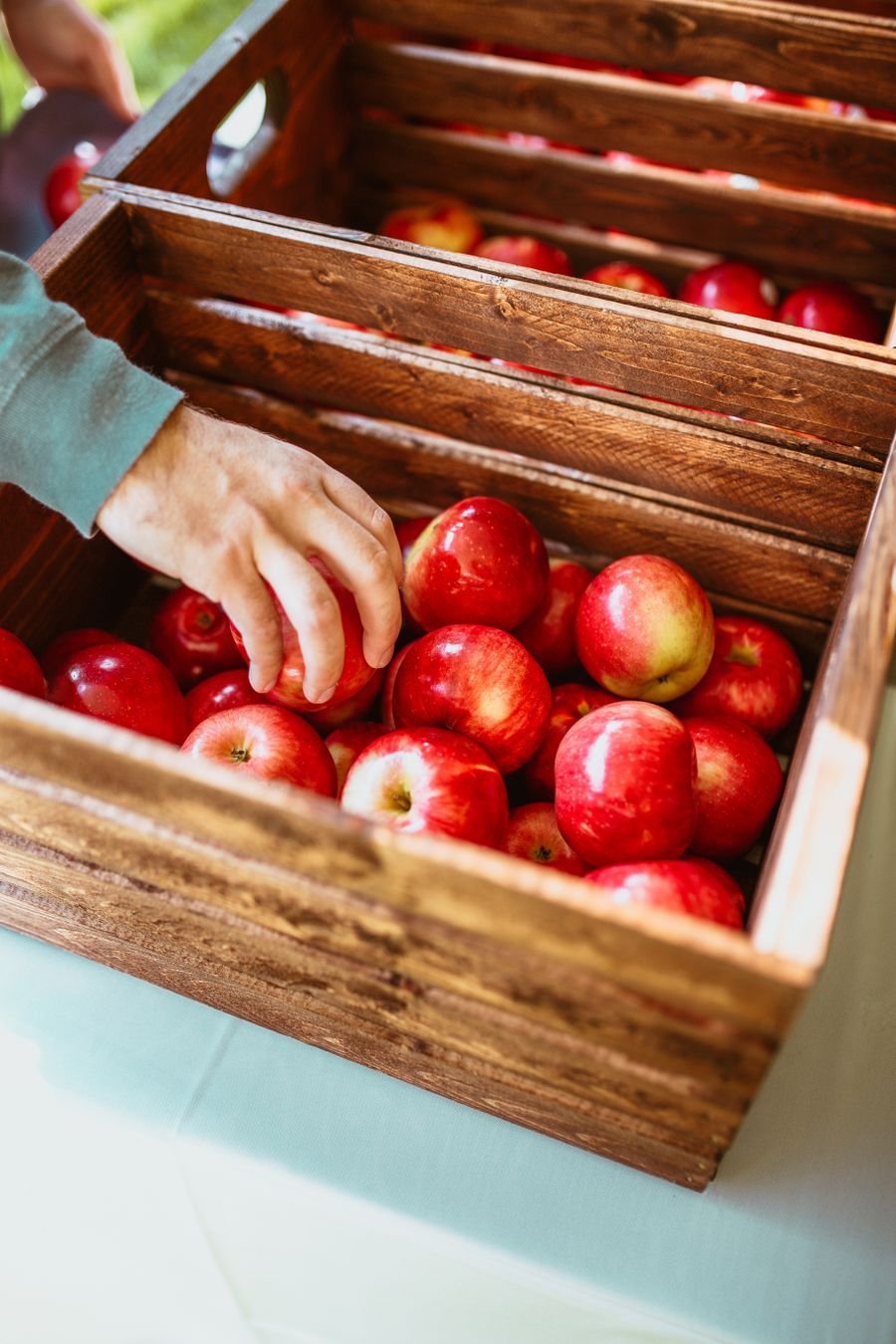 Hand picking fresh apples from a wooden crate