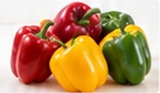 Red, yellow and green peppers